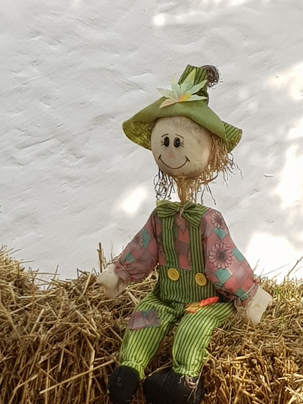 Puppets And Scarecrows By The Danube - Every Day Photos